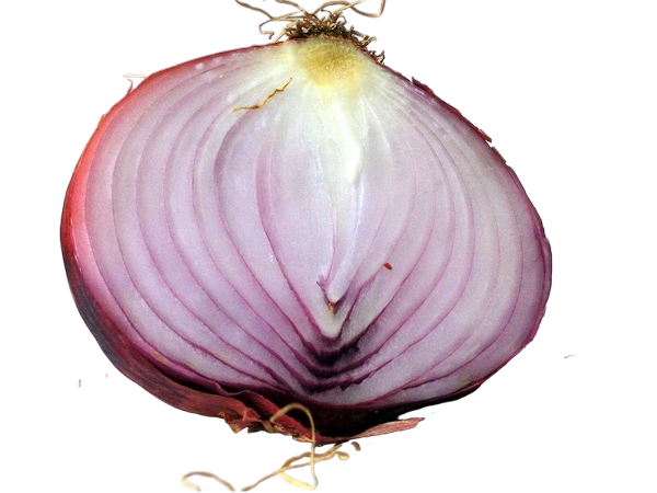 FRESH VEGETABLES ONION BREME £4.81 AL KG (APPROX 5.8 KG) - ONLY LONDON AREA
