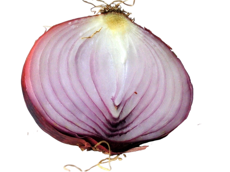 FRESH VEGETABLES ONION BREME £4.81 AL KG (APPROX 5.8 KG) - ONLY LONDON AREA