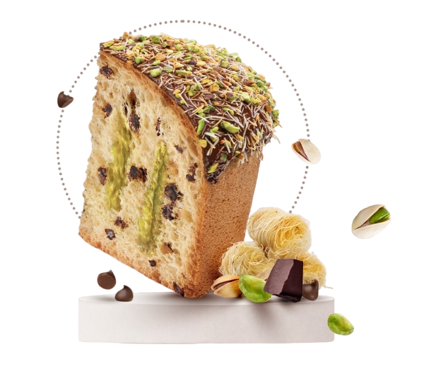 MAINA PANETTONE CHOCOLATE DUBAI STYLE 750 GR (12 in a box) - SPECIAL EDITION