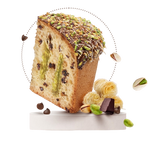 MAINA PANETTONE CHOCOLATE DUBAI STYLE 750 GR (12 in a box) - SPECIAL EDITION