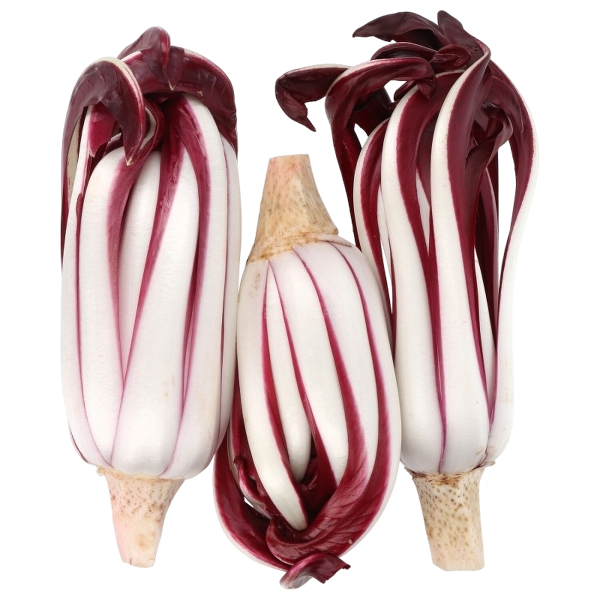 FRESH VEGETABLES RADICCHIO TARDIVO £12.43 AL KG (APPROX 5.25 KG) - ONLY LONDON AREA