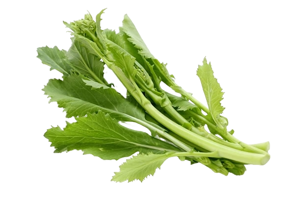 FRESH VEGETABLES FRIARIELLI £4 AL KG (APPROX 5 KG) - ONLY LONDON AREA