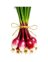 FRESH VEGETABLES ONION GRELOT RED CIPOLLOTTO BUNCH £3.87 AL KG (APPROX 7.8 KG) - ONLY LONDON AREA
