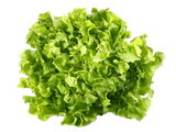 FRESH VEGETABLES SALAD SCAROLA CURLY £5.31 AL KG (APPROX 4 KG) - ONLY LONDON AREA