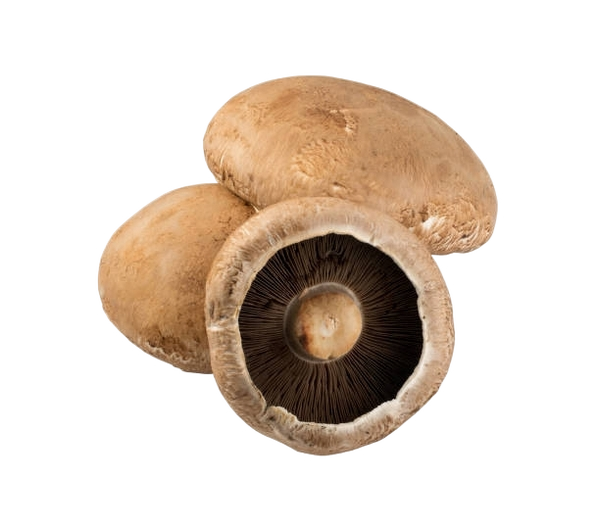 FRESH MUSHROOMS CUP BROWN £5.25 AL KG (APPROX 2.65 KG) - ONLY LONDON AREA