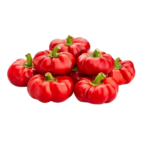 FRESH VEGETABLES PEPPERS TOPEPO RED £4.25 AL KG (APPROX 8.4 KG) - ONLY LONDON AREA
