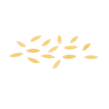 DE CECCO PASTINA DI SEMOLA PUNTALETTE N.73 500 GR (24 in a box)