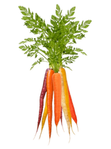 FRESH VEGETABLES CARROTS HERITAGE BUNCHES £5.37 AL KG (APPROX 6.3 KG) - ONLY LONDON AREA
