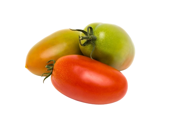 FRESH VEGETABLES TOMATO SAN MARZANO INSALATARO £4.25 AL KG (APPROX 9.5 KG) - ONLY LONDON AREA