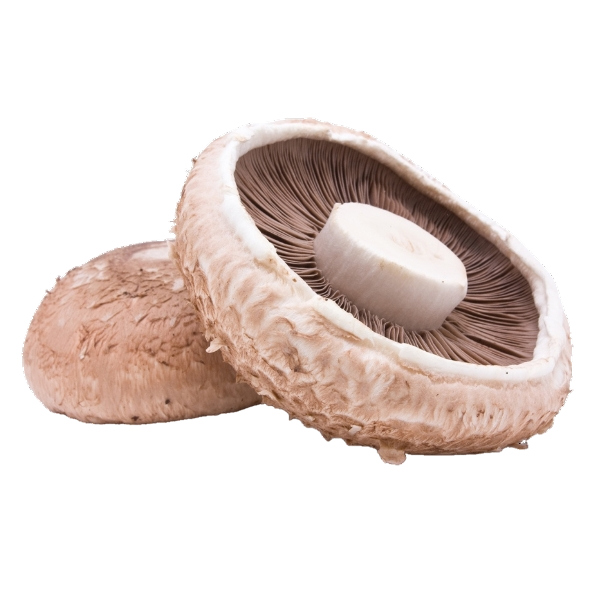 FRESH MUSHROOMS PORTOBELLO £7 AL KG (APPROX 4.8 KG) - ONLY LONDON AREA