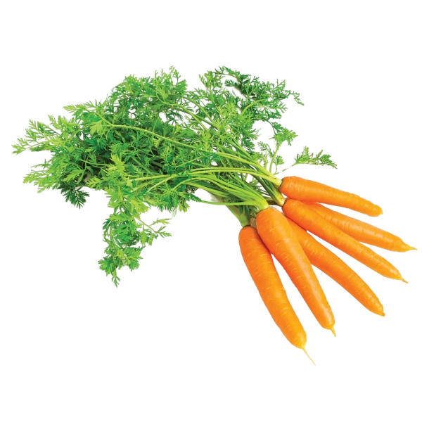 FRESH VEGETABLES CARROTS LEAFY BUNCHED X10's (1 in a box) - ONLY LONDON AREA