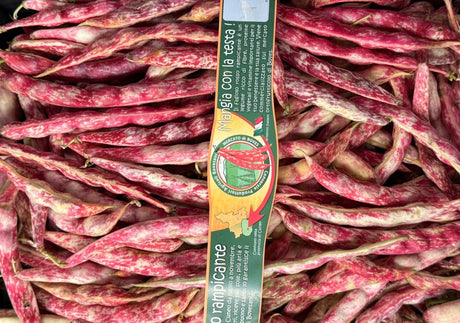 FRESH VEGETABLES BEANS BORLOTTI £6.25 AL KG (APPROX 8 KG) - ONLY LONDON AREA