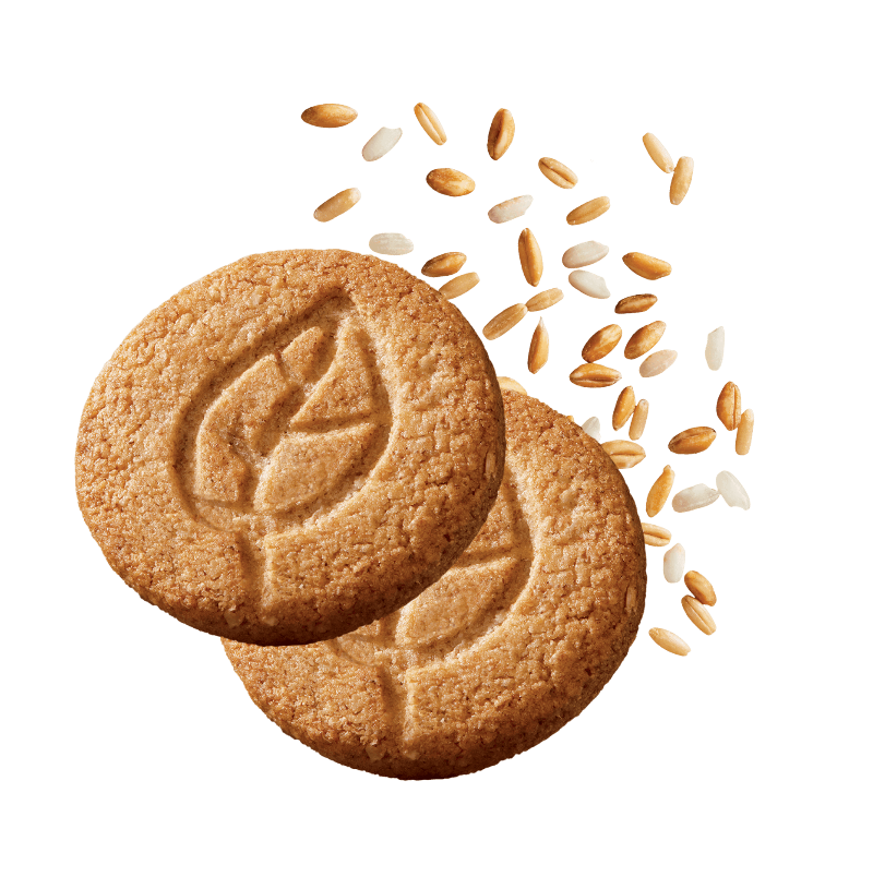 GALBUSERA BISCOTTI BUONI COSI' CEREALS SUGAR FREE X6 300 GR (14 in a box)