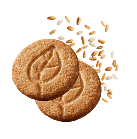 GALBUSERA BISCOTTI BUONI COSI' CEREALS SUGAR FREE X6 300 GR (14 in a box)