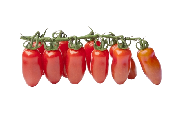 FRESH VEGETABLES TOMATO SAN MARZANO ON THE VINE £4.62 AL KG (APPROX 8.1 KG) - ONLY LONDON AREA