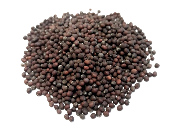 SEEDS OF BLACK AND BROWN MUSTARD 1 KG (1 in a box)