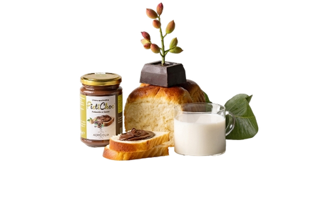 AGRISICILIA SPREAD CREAM PISTICHOC PISTACHIO AND COCOA 360 GR (6 in a box)