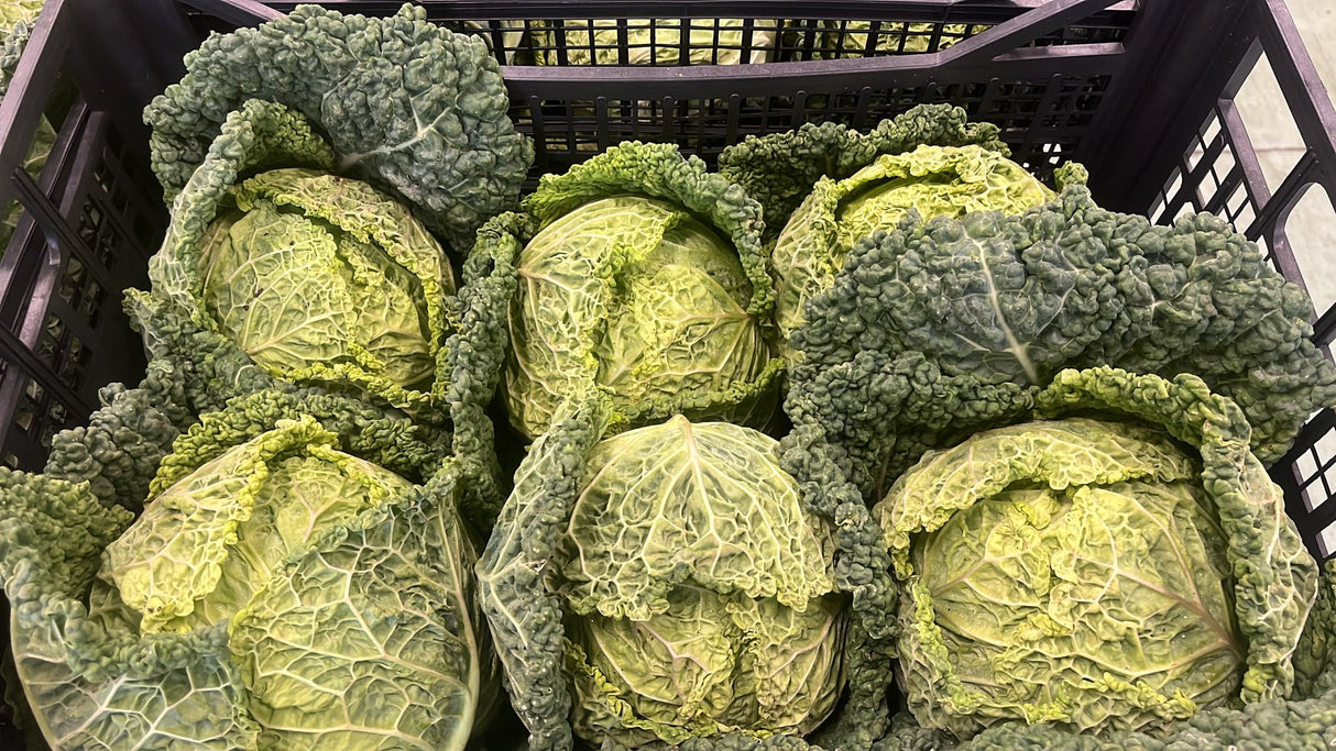FRESH VEGETABLES CABBAGE SAVOY £1.63 AL KG (APPROX 9.05 KG) - ONLY LONDON AREA