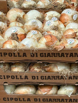FRESH VEGETABLES ONION GIARRATANA £2.87 AL KG (APPROX 6.7 KG) - ONLY LONDON AREA