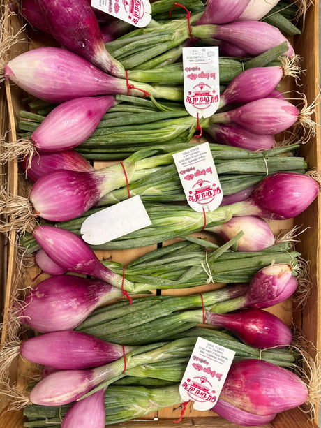 FRESH VEGETABLES ONION GRELOT RED CIPOLLOTTO BUNCH £3.87 AL KG (APPROX 7.8 KG) - ONLY LONDON AREA