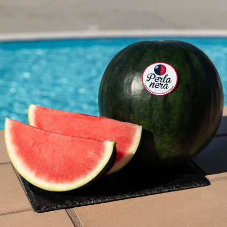 FRESH FRUITS WATERMELON PERLA NERA 1 PC £2.81 AL KG (APPROX 5 KG) - ONLY LONDON AREA