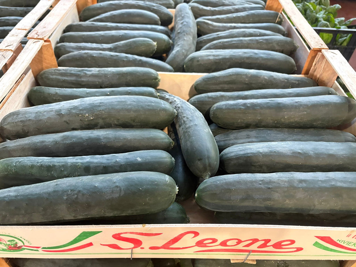 FRESH VEGETABLES CUCUMBER ITALIAN £1.94 AL KG (APPROX 6 KG) - ONLY LONDON AREA