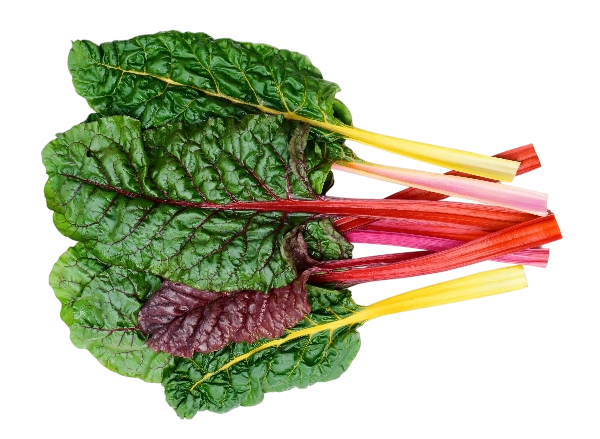 FRESH VEGETABLES SWISS CHARD RAINBOW £2.68 AL KG (APPROX 6.25 KG) - ONLY LONDON AREA