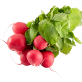 FRESH VEGETABLES TURNIPS RED X10 BUNCHES (1 in a box) - ONLY LONDON AREA