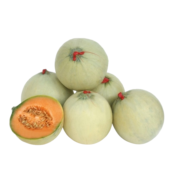 FRESH FRUITS MELON SMOOTH WAX TIP X6 £4.31 AL KG (APPROX 6.9 KG) - ONLY LONDON AREA
