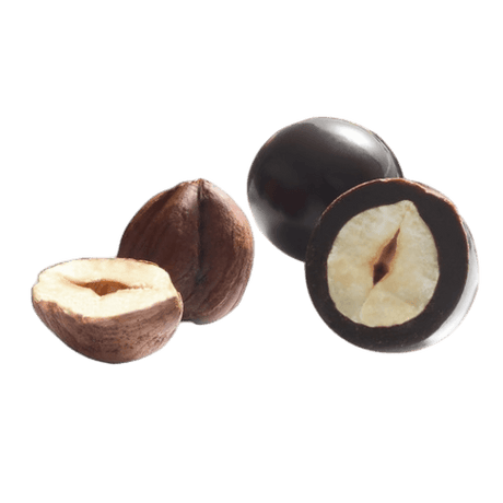 FATINA DRIED FRUITS HAZELNUTS COVERED CHOCOLATE MIX 160 GR (12 in a box)