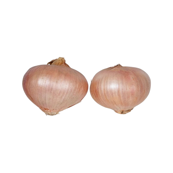 FRESH VEGETABLES ONION DRY MONTORO £3.51 AL KG (APPROX 8.35 KG) - ONLY LONDON AREA