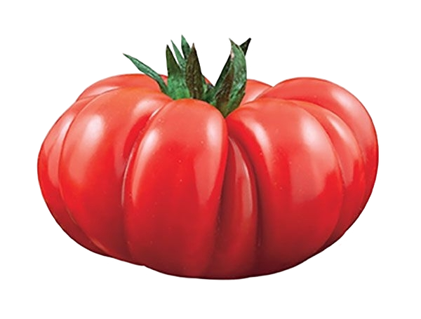FRESH VEGETABLES TOMATO COSTOLUTO £4.63 AL KG (APPROX 5 KG) - ONLY LONDON AREA