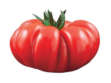 FRESH VEGETABLES TOMATO COSTOLUTO £4.63 AL KG (APPROX 5 KG) - ONLY LONDON AREA