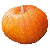 FRESH VEGETABLES SQUASH NOCCIOLA £2.75 AL KG (APPROX 11 KG) - ONLY LONDON AREA