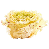 FRESH VEGETABLES CICORY/RADICCHIO CASTELFRANCO £5.38 AL KG (APPROX 4 KG) - ONLY LONDON AREA
