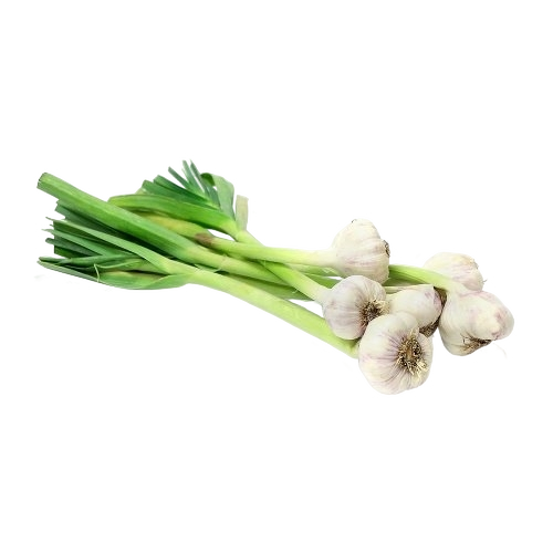 FRESH VEGETABLES GARLIC WHITE BUNCHES £5.93 AL KG (APPROX 9.3 KG) - ONLY LONDON AREA