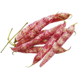 FRESH VEGETABLES BEANS BORLOTTI £7.18 AL KG (APPROX 6.5 KG) - ONLY LONDON AREA