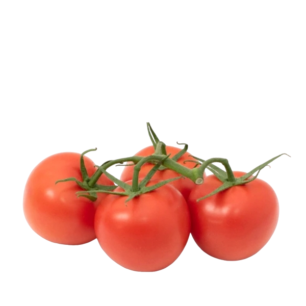 FRESH VEGETABLES TOMATO CHERRY ON THE VINE EXTRA £4.06 AL KG (APPROX 3 KG) - ONLY LONDON AREA