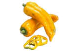 FRESH VEGETABLES PEPPERS CORN YELLOW £2.56 AL KG (APPROX 6 KG) - ONLY LONDON AREA