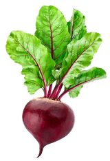 FRESH VEGETABLES BEETROOT (1 in a box) - ONLY LONDON AREA