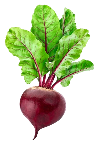 FRESH VEGETABLES BEETROOT (1 in a box) - ONLY LONDON AREA
