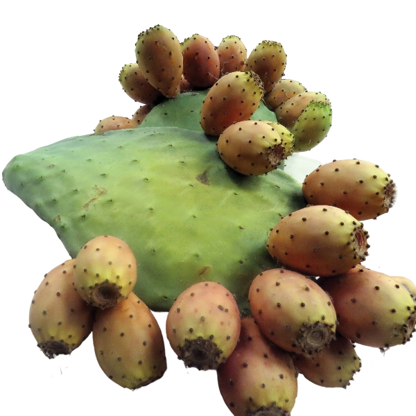 FRESH FRUITS PEAR PRICKLY PUNNETS (FICHI D'INDIA) £2.56 AL KG (APPROX 7 KG) - ONLY LONDON AREA
