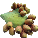 FRESH FRUITS PEAR PRICKLY PUNNETS (FICHI D'INDIA) £2.56 AL KG (APPROX 7 KG) - ONLY LONDON AREA