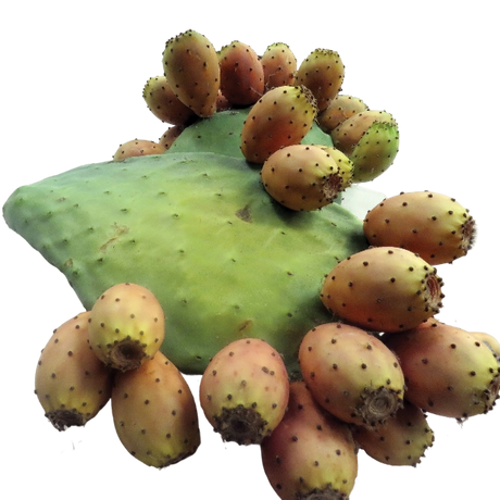 FRESH FRUITS PEAR PRICKLY PUNNETS (FICHI D'INDIA) £2.56 AL KG (APPROX 7 KG) - ONLY LONDON AREA