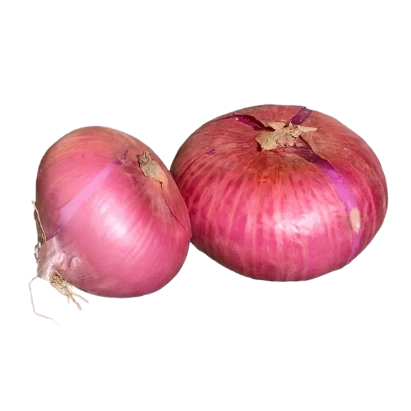FRESH VEGETABLES ONION BREME £4.25 AL KG (APPROX 5.8 KG) - ONLY LONDON AREA