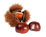 FRESH FRUITS CHESTNUT 30/35 £9.31 AL KG (APPROX 5 KG) - ONLY LONDON AREA