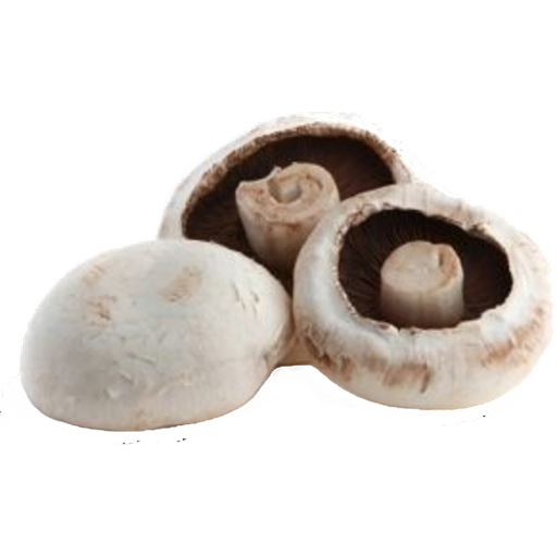 FRESH MUSHROOMS CAP £5 AL KG (APPROX 2.8 KG) - ONLY LONDON AREA