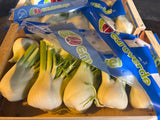 FRESH VEGETABLES FENNEL 10 PCS £4.56 AL KG (APPROX. 5 KG ) - ONLY LONDON AREA