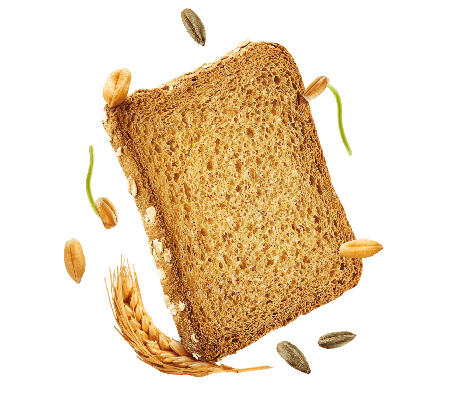 MISURA PLANT BASED BAKERY RUSKS FETTE BISCOTTATE RYE AND OATS X36 320 GR (12 in a box)