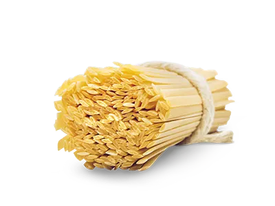 MOLISANA PASTA DI SEMOLA FETTUCCINE N.5 500 GR (24 in a box)